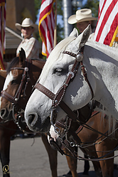 general-HE_PH18_IMG_6069.jpg