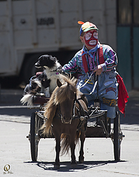 general-HE_PH18_IMG_6700.jpg
