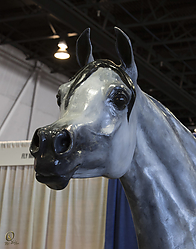 general-HE_PH18_IMG_6883.jpg