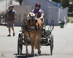 half-HE_PH18_IMG_6802.jpg