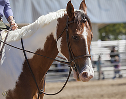 jump-HE_PH18_IMG_6489.jpg