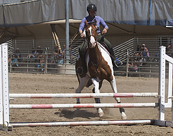 jump-HE_PH18_IMG_6549.jpg