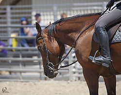 jump-HE_PH18_IMG_6729.jpg