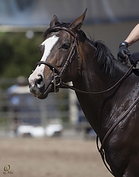 jump-HE_PH18_IMG_6730.jpg