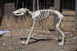 Spook_PH18_IMG_6180.jpg