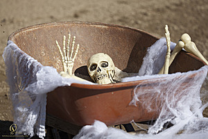 Spook_PH18_IMG_6276.jpg