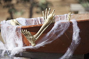 Spook_PH18_IMG_6284.jpg