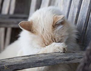 Spook_PH18_IMG_6318.jpg