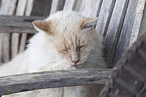 Spook_PH18_IMG_6322.jpg