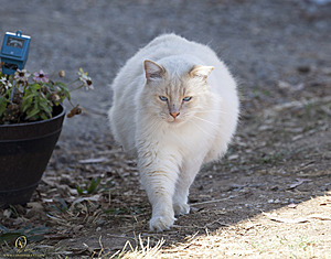 Spook_PH18_IMG_6323.jpg