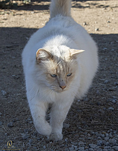 Spook_PH18_IMG_8590.jpg