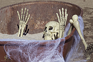 Spook_PH18_IMG_8966.jpg