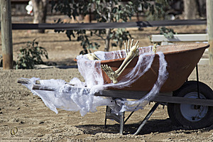 Spook_PH18_IMG_8980.jpg