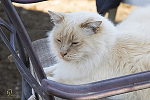 Spook_PH18_IMG_9057.jpg