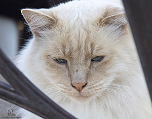 Spook_PH18_IMG_9060.jpg