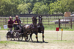 127_HEx_PH19_IMG_6355-2.jpg