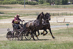 145_HEx_PH19_IMG_6508-2.jpg