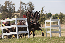 151_HEx_PH19_IMG_6538-2.jpg