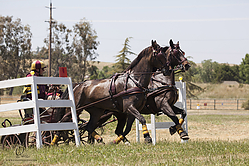 152_HEx_PH19_IMG_6539-2.jpg