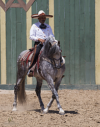 098_HEx_PH19_IMG_6093.jpg