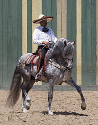 100_HEx_PH19_IMG_6095.jpg