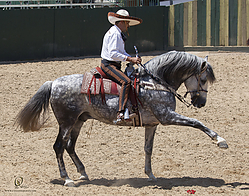 104_HEx_PH19_IMG_6152.jpg