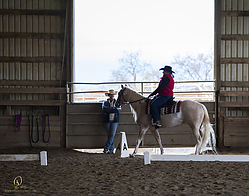 WSS3_PH19_IMG_2102.jpg