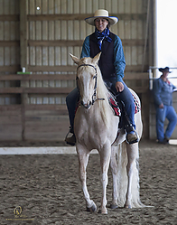 WSS3_PH19_IMG_2161.jpg