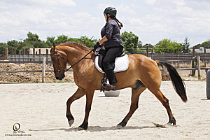 WE_PH20_IMG_1083.jpg