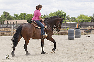 WE_PH20_IMG_1247.jpg