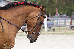WE_PH20_IMG_1351.jpg