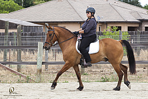 WE_PH20_IMG_1672.jpg