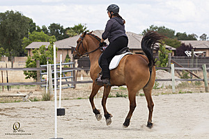 WE_PH20_IMG_1732.jpg