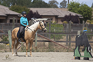 WE_PH20_IMG_7499.jpg
