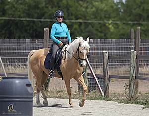 WE_PH20_IMG_7637.jpg