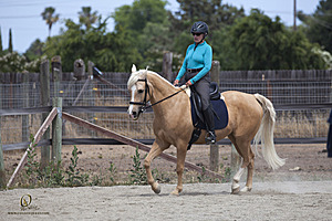 WE_PH20_IMG_7647.jpg