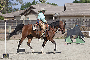 WE_PH20_IMG_7812.jpg