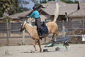 WE_PH20_IMG_7831.jpg