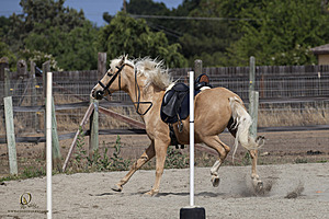 WE_PH20_IMG_7838.jpg