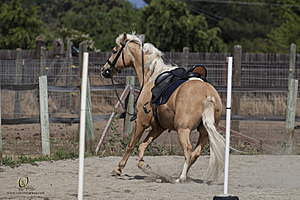 WE_PH20_IMG_7839.jpg