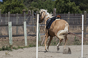WE_PH20_IMG_7840.jpg