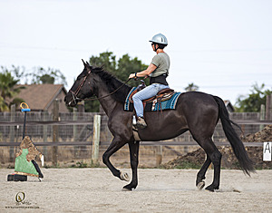 WE_PH20_IMG_8159.jpg