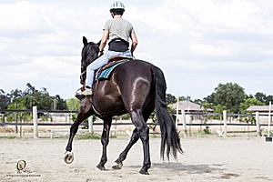 WE_PH20_IMG_8241.jpg