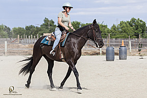 WE_PH20_IMG_8304.jpg