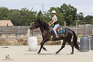 WE_PH20_IMG_8314.jpg