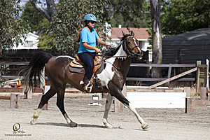 WE_PH20_IMG_0119.jpg