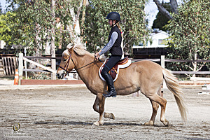 WE_PH20_IMG_9891.jpg