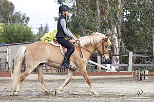 WE_PH20_IMG_9942.jpg