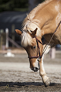 WE_PH20_IMG_9963.jpg