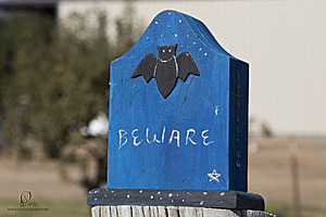 043_Spook_PH20_IMG_4242.jpg